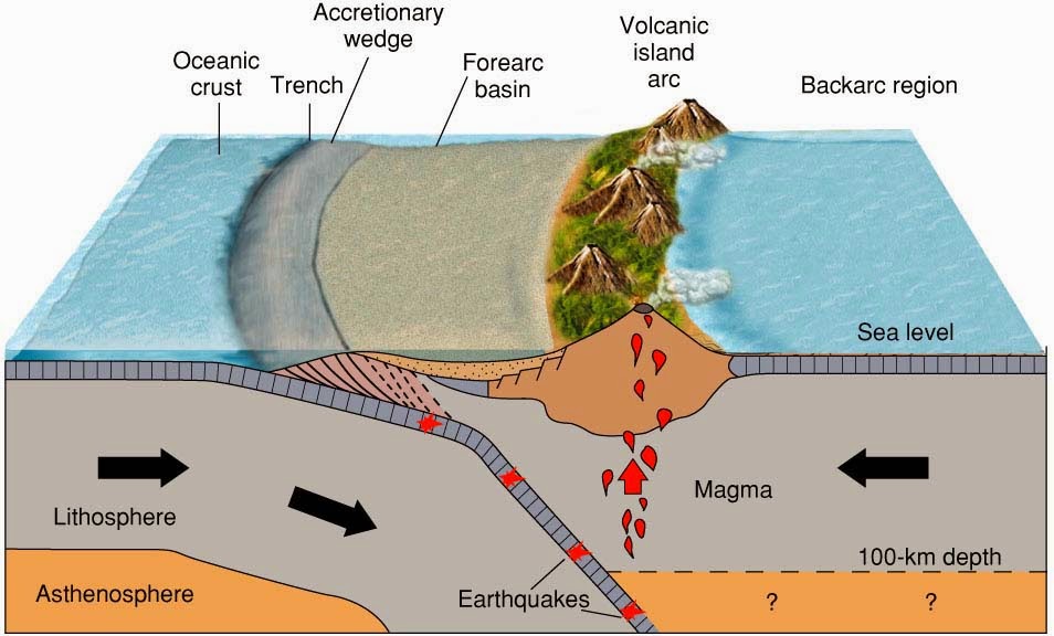 Ciències per al món contemporani Gema Adrover Dorsals oceàniques