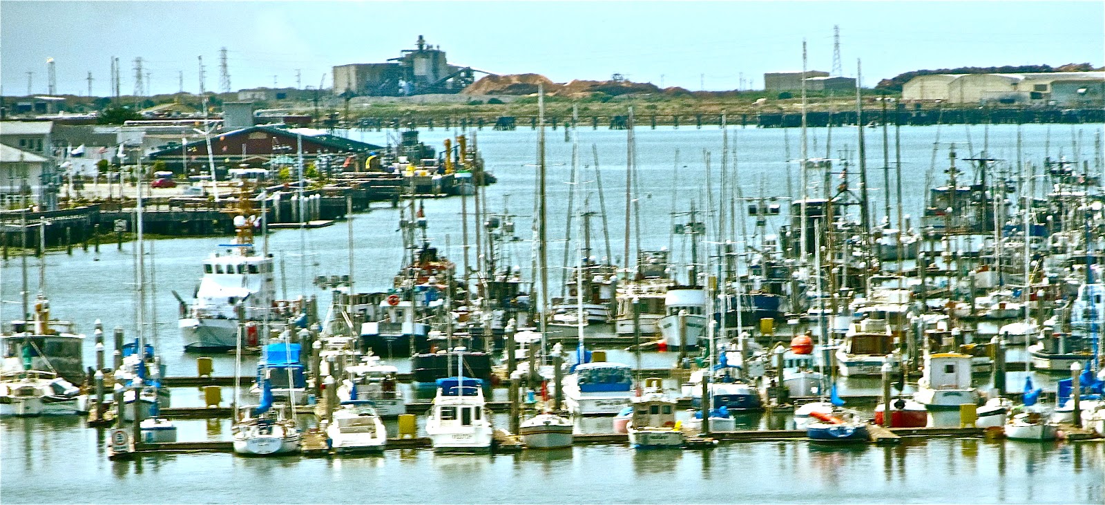 "CALGARY STAMPEDE TRIP" "HUMBOLDT BAY WATERFRONT IN EUREKA, CA"
