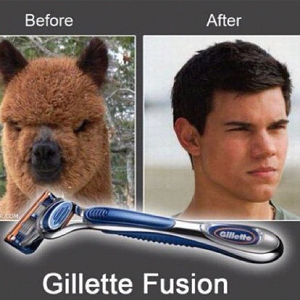 30 Funny WTF Pictures Youve Ever Seen