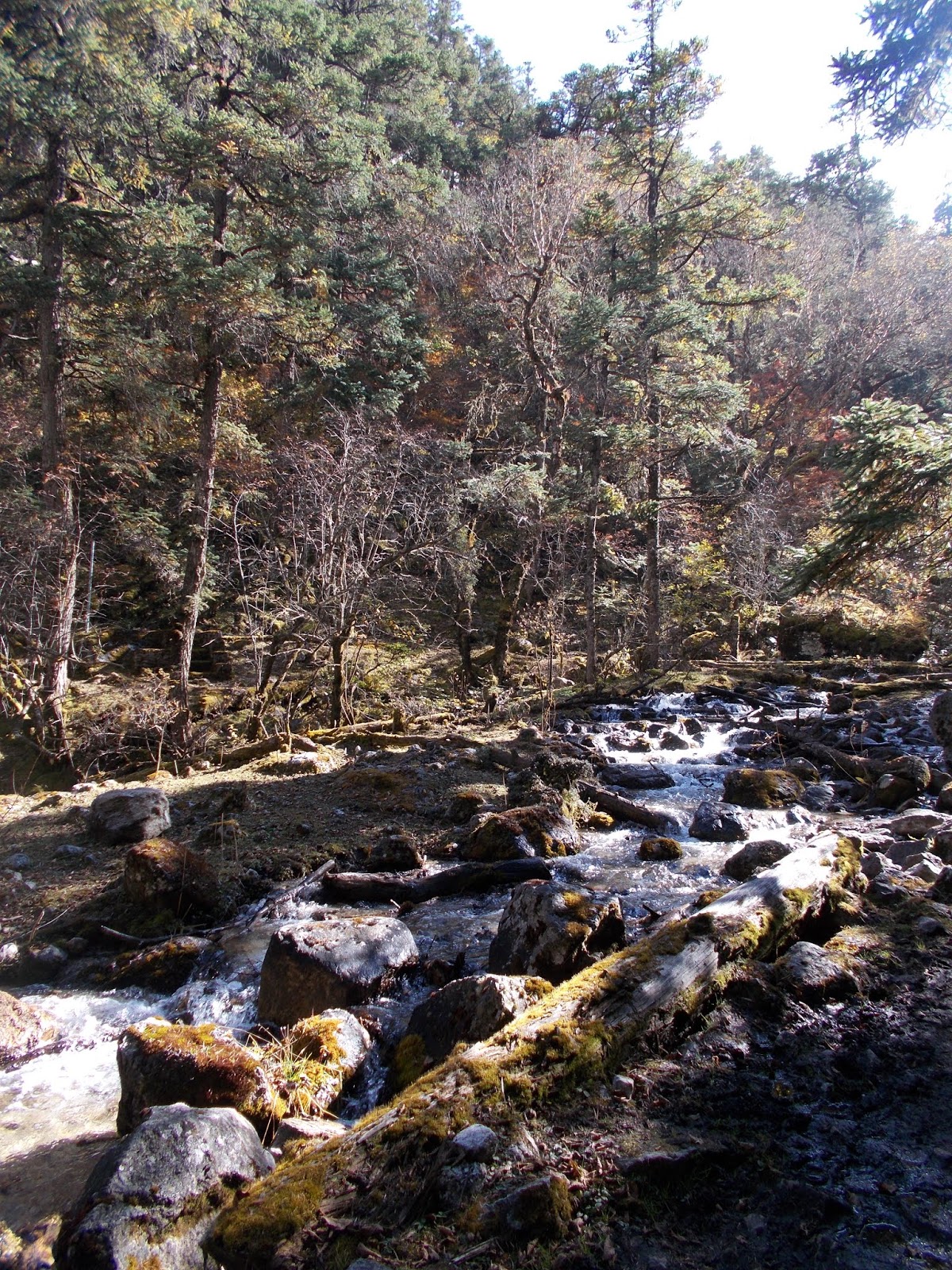 Вокруг Манаслу, долина Цум, Нар-Пу. Непал 2017.