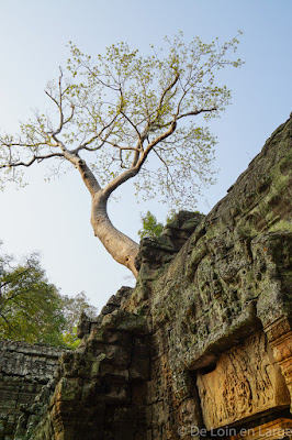 Ta Phrom - Angkor - Cambodge