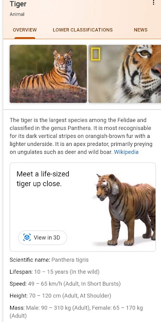 √ Google 3D Animals Effect