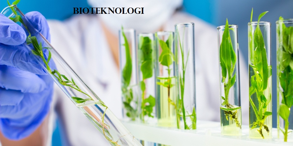 Bioteknologi Adalah – Pengertian, Sejarah, Jenis, Contoh, Penerapan