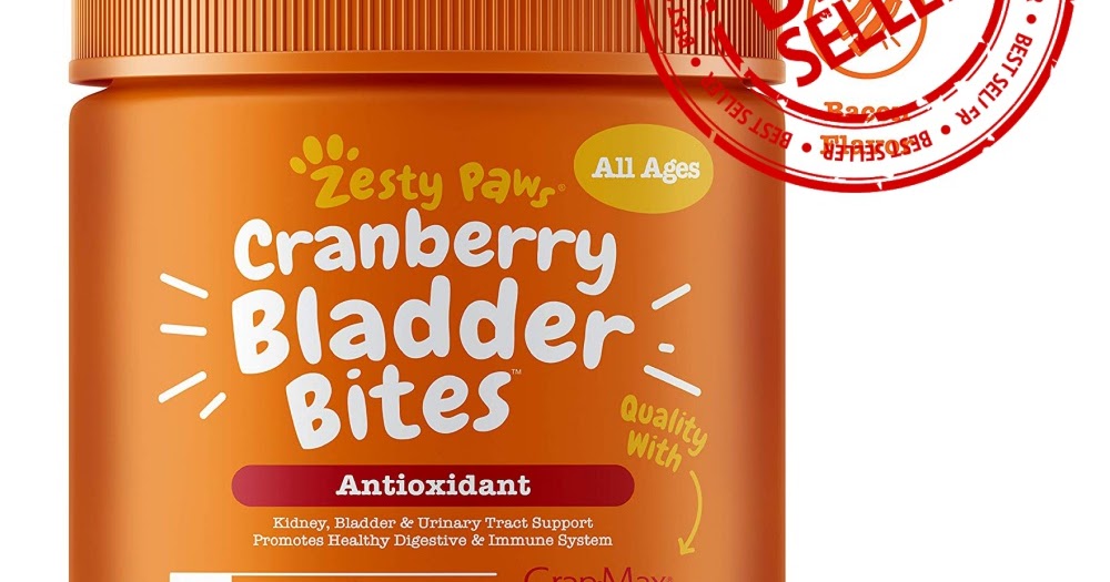 Best Dog Herbal Supplements