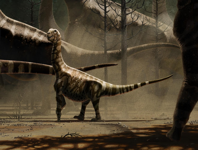 Camarasaurus lentus. Молодой камаразавр среди более крупных членов своего стада. Доволен собой скажу.