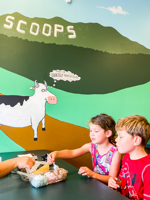 Tales of the Flowers Scoops Ice Cream shop in Arkansas 2021/07/17