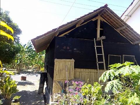 keripik jamur tiram yuceu