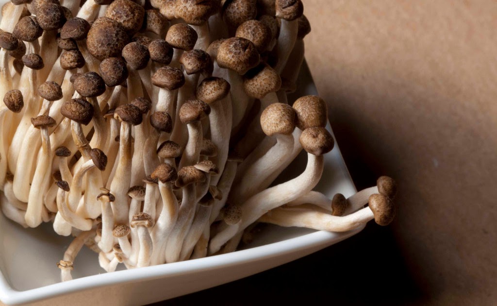 Shimeji mushroom cultivation Mushroom farming Organic mushroom cultivation