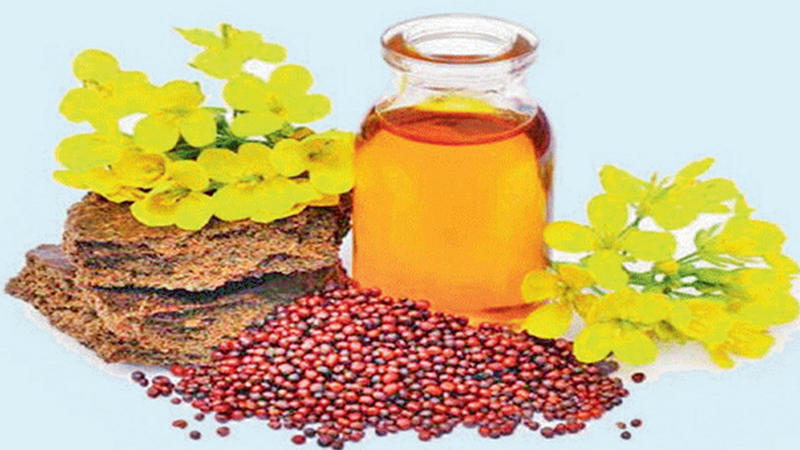 The price of Black Mustard will go up to Rs.1000 in Agriculture of India
