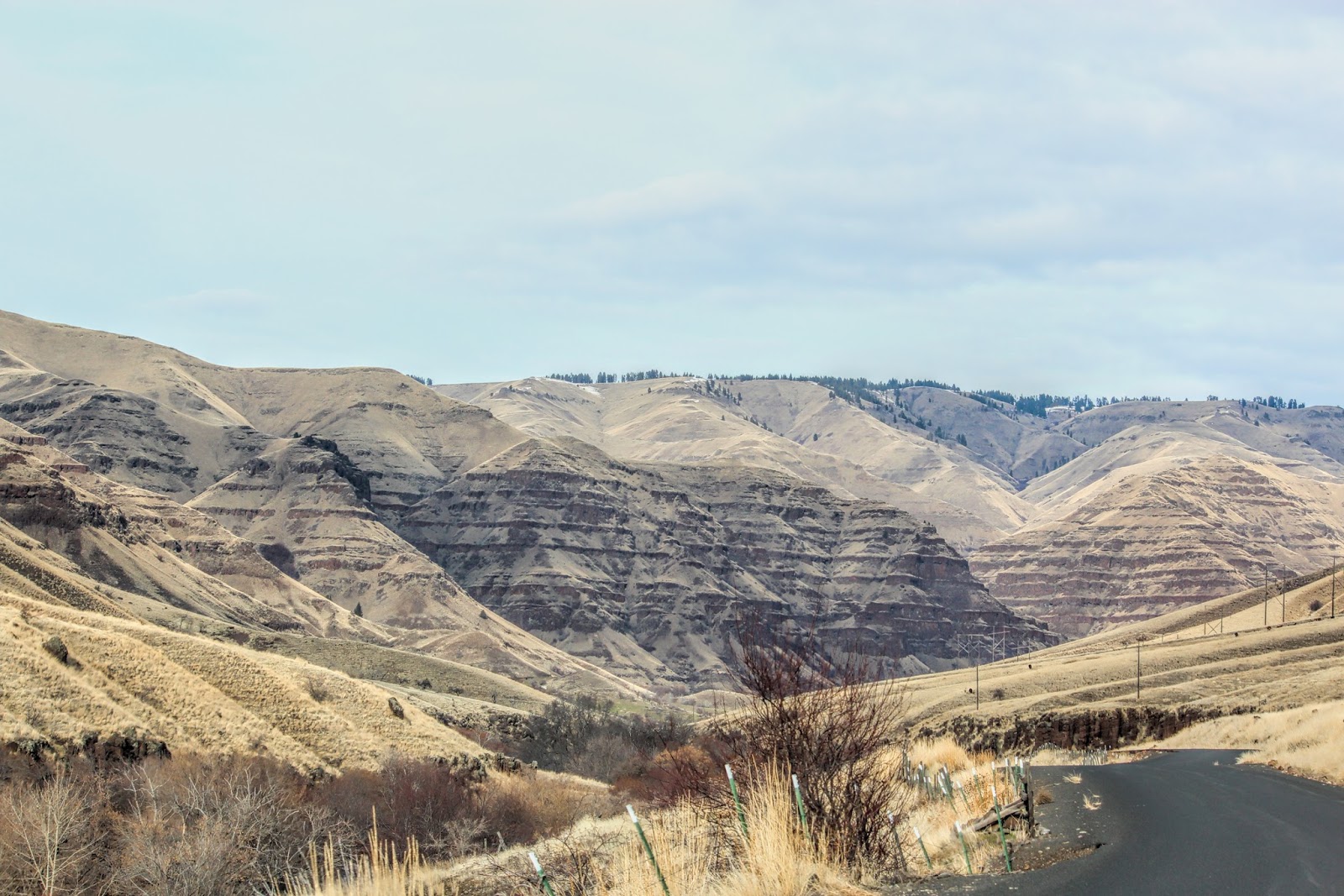 Within My Focus Visit to the "Banana Belt" of Wallowa County in winter