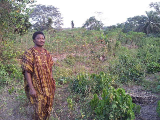 Sangosakin outside of the town of Osogbo next to Osun river. 
