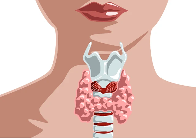 Tout ce que vous devez savoir sur chaque trouble thyroïdien: signes, symptômes, causes et traitements