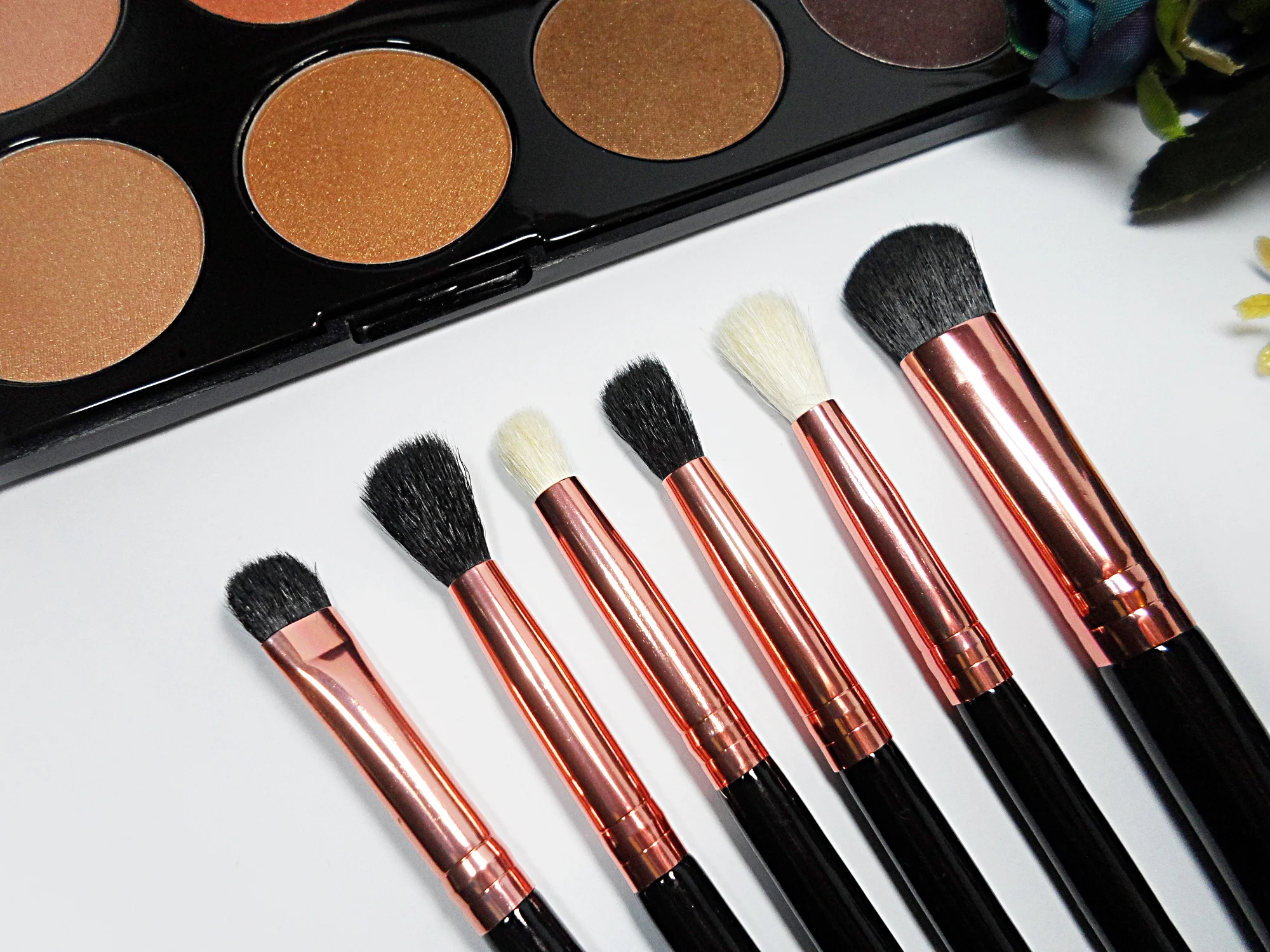 close-up picture of professional and affordale brushes laying on white background in a studio