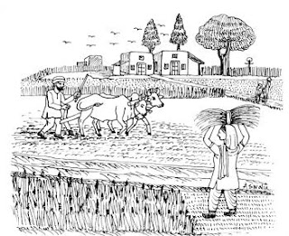 मेरा गाँव निबंध