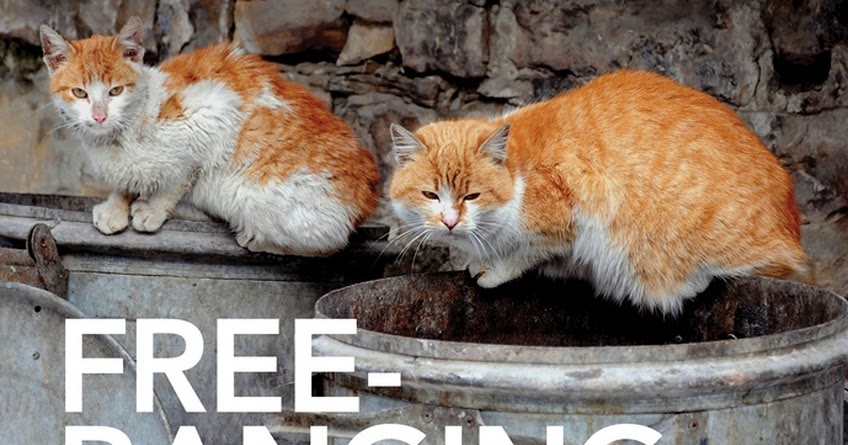 Freeranging Cats Behavior, Ecology, Management