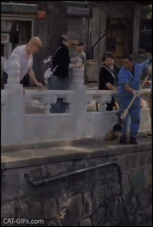 Funny REVERSE cat GIF • Good man puts a wet 'cat fish' down in the water with a broom Funny REVERSE cat GIF • Good man puts a wet 'cat fish' down in the water with a broom
