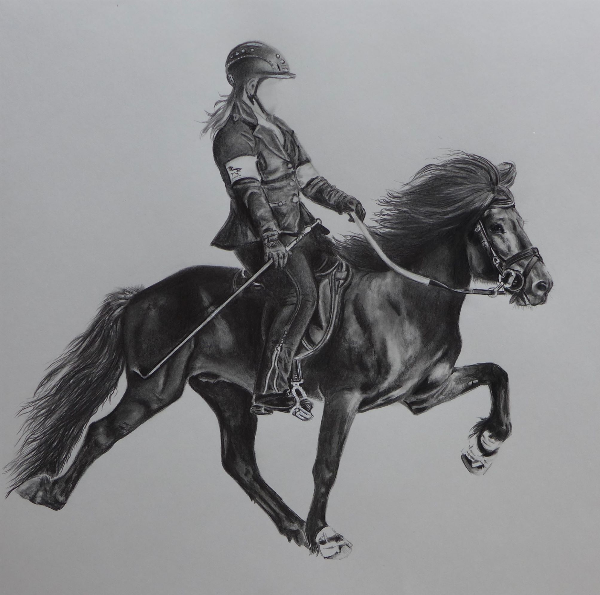 Islandpferd mit Reiter