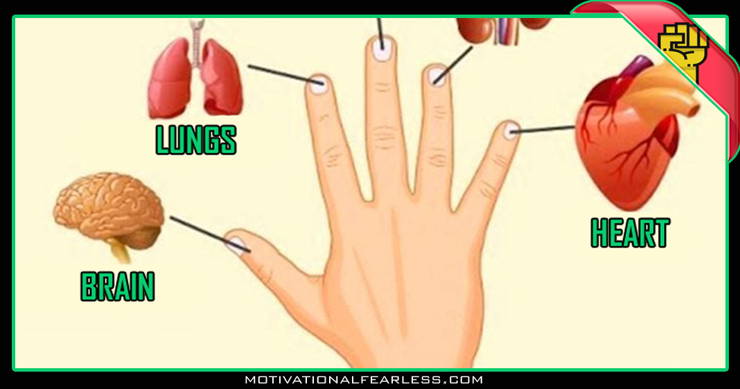Each finger is connected to an organ, squeeze it for 5 seconds to relieve pain Motivational