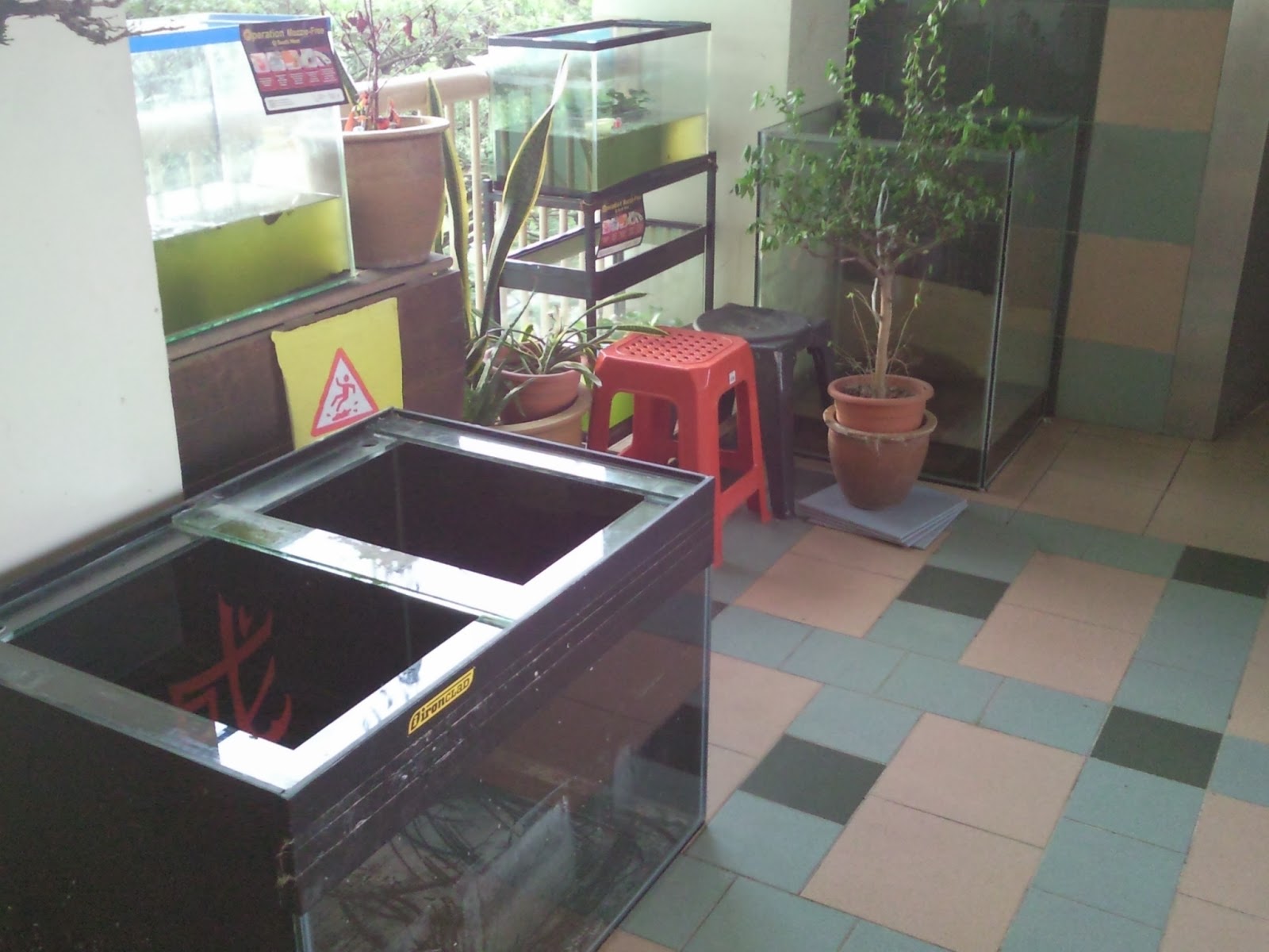 Tropical Fisher Man Fish Tanks And Aquarium CRS New Fish Tanks in
