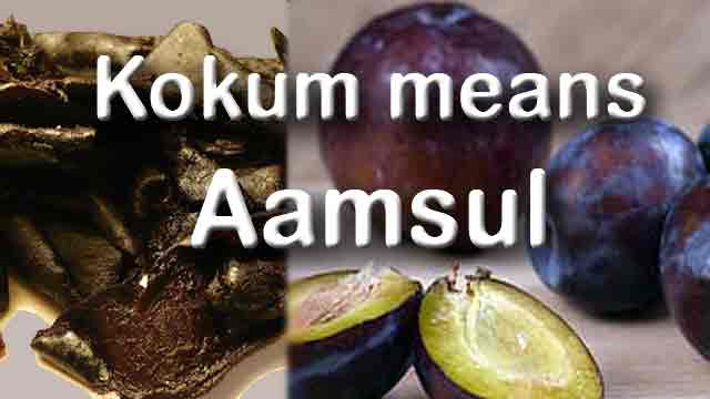 कोकम म्हणजेच आमसूल | Kokum means Amsul