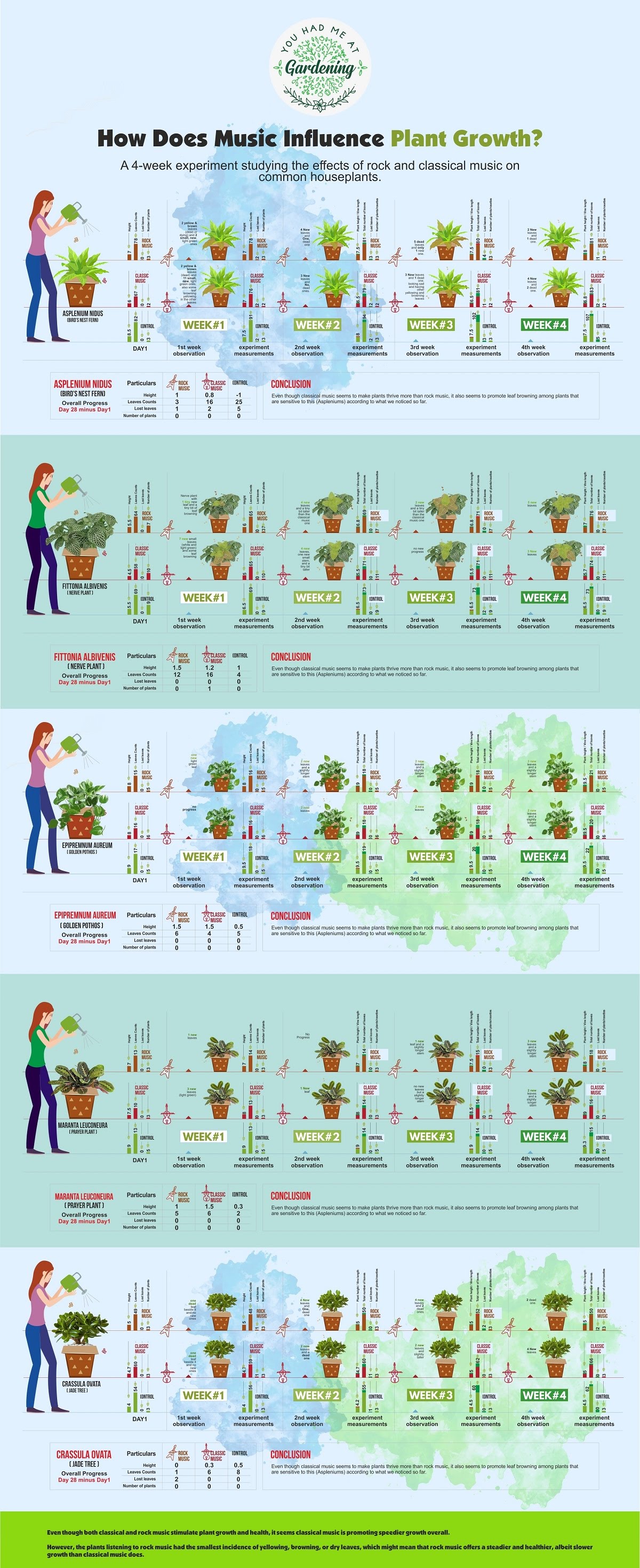 Plant Experiment Classical & Rock Music for Plants Growth infographic