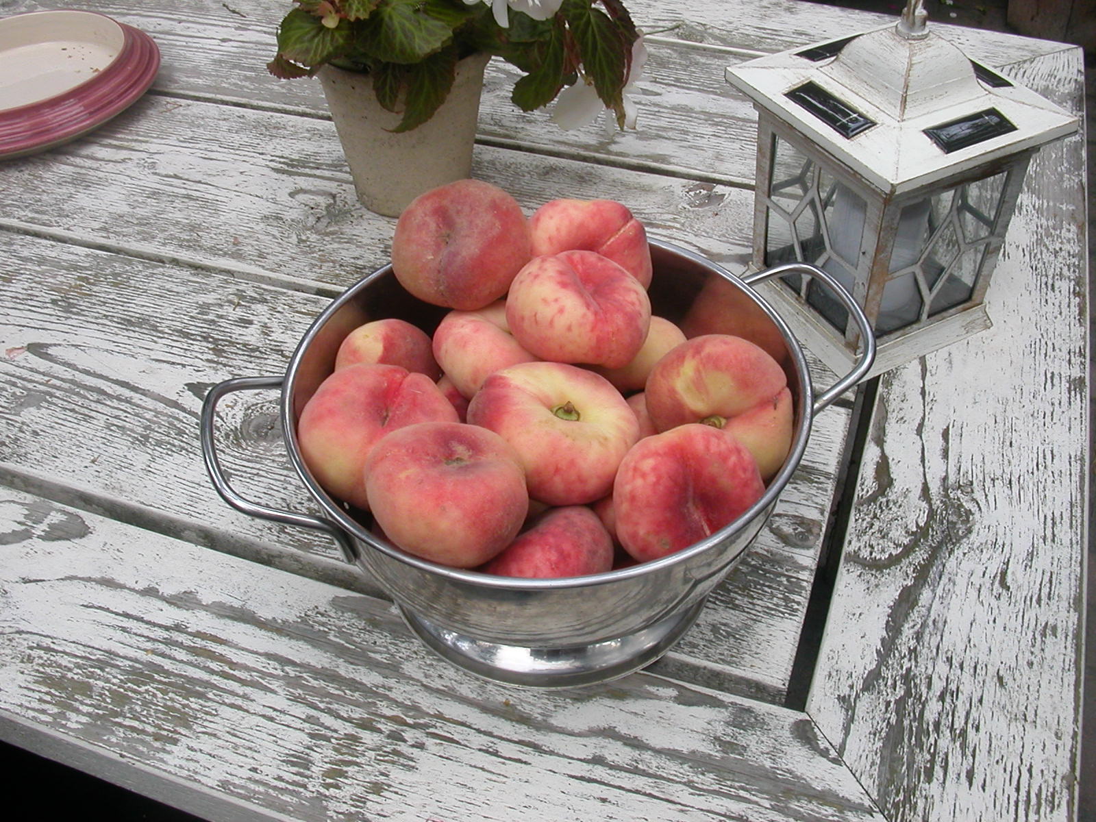 Aan Jeanne`s Keukentafel Perzik Jam