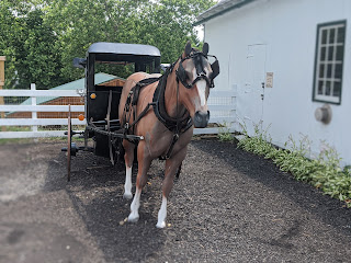 Amish transportation 
