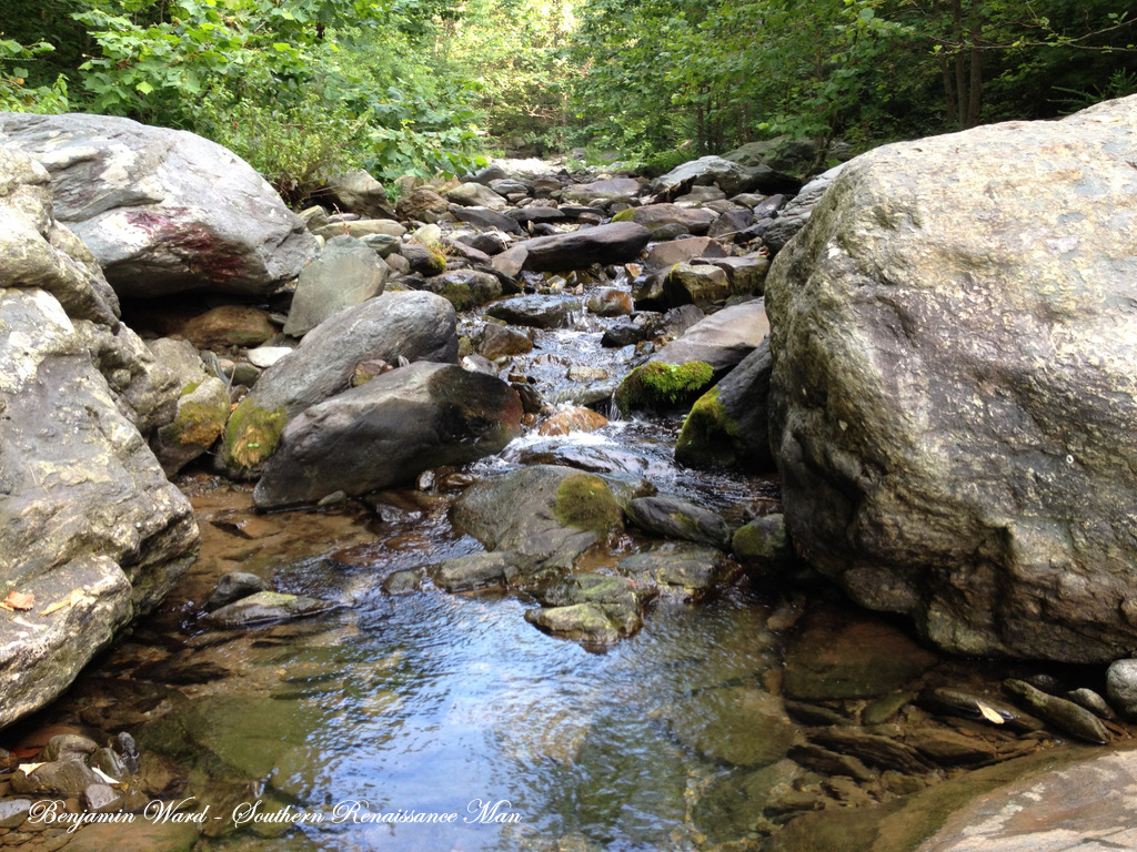 Southern Renaissance Man Fly Fishing North Fork Moormans River Charlottesville Virginia