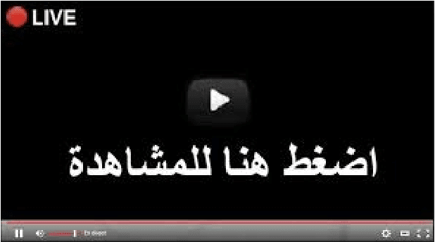 ملخص مبارة الجزائر وغينيا 0/3 دور 16 وتألق محرز