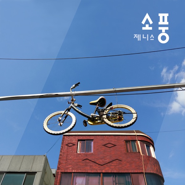 Zenith – Picnic – Single