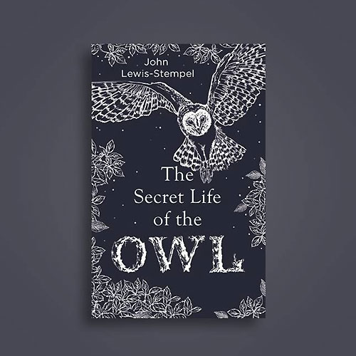 My Owl Barn: Books Gift Guide for Owl Lovers and Anyone Who Loves a ...