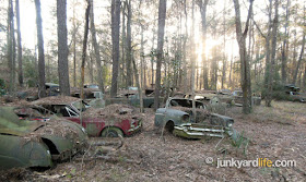 Scrap yard owner stored cars on wooded property since 1991.