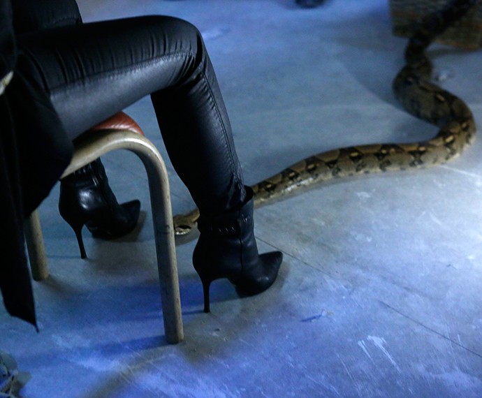 Beatriz é atacada por cobra notícias em Vem por aí Beatriz é atacada por cobra notícias em Vem por aí