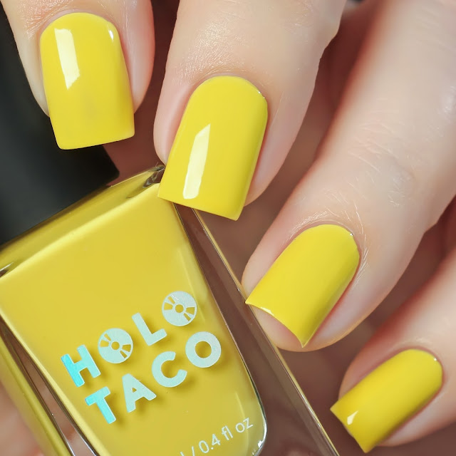 de briz Holo Taco For Art's Sake Collection