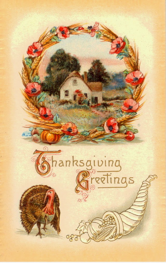 25 Colorful Vintage Thanksgiving Turkey Postcards ~ Vintage Everyday
