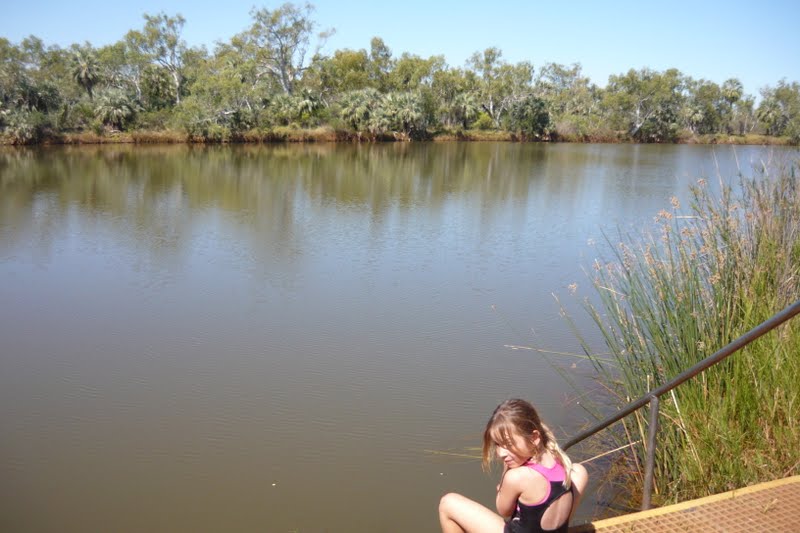 LunaRover: Millstream-Chichester National Park