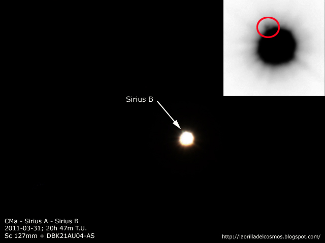 bulto Amplificador dinero La orilla del Cosmos: Sirius A y Sirius B en Canis Major