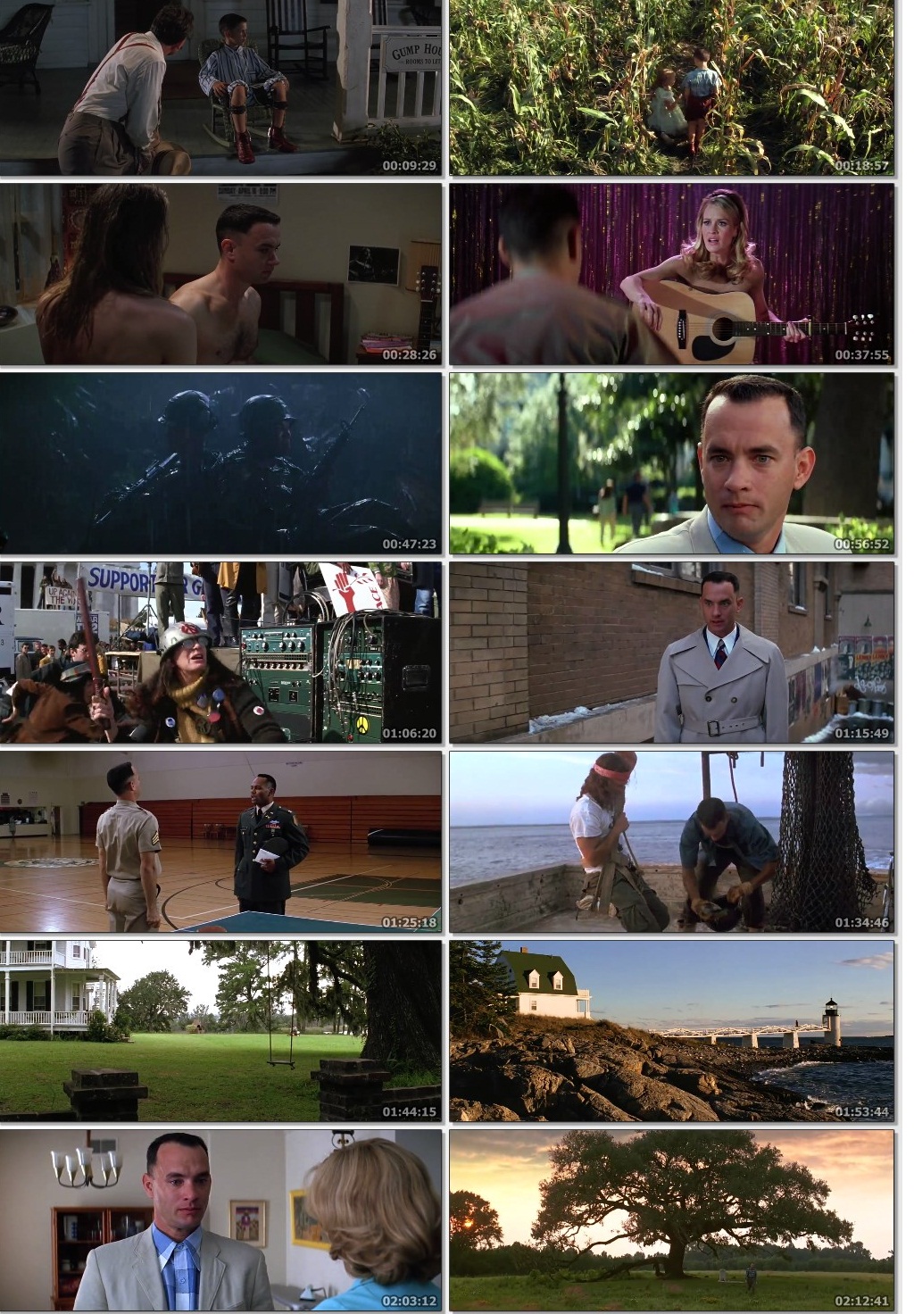 Forrest Gump (1994) Dual Audio Hindi 500MB BluRay 480p.