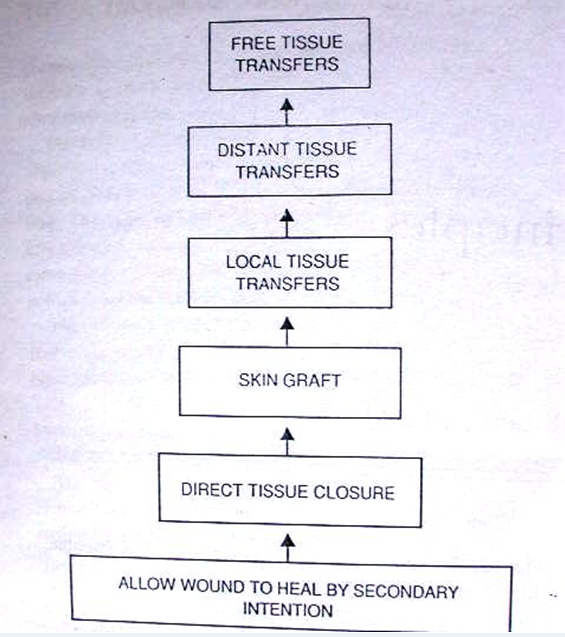 MBBS Medicine (Humanity First) PRINCIPLES OF SKIN COVER GRAFTS AND FLAPS