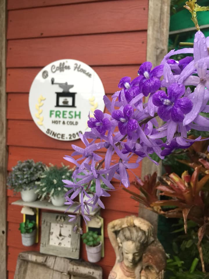 Coffee House Sanphanat ร้านกาแฟสันพระเนตร ร้านกาแฟสันทราย ร้านกาแฟเชียงใหม่