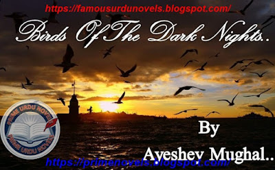 Birds Of The Dark Nights novel pdf by Ayeshey Mughal Complete