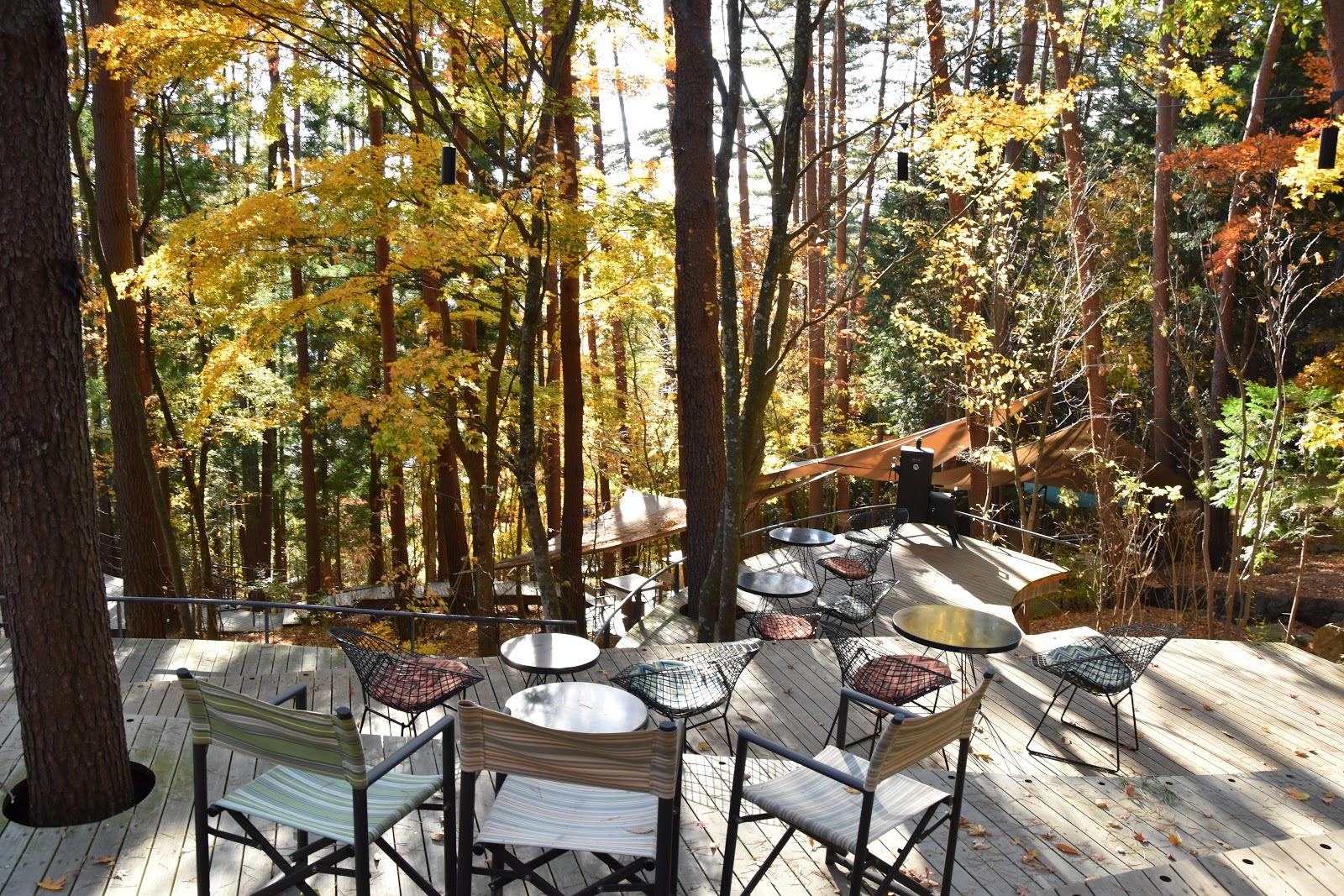 Glamping in Yamanashi HOSHINOYA Fuji Life in Yamanashi Home of Mt