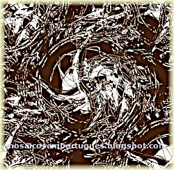 Conclusão - Limitações Conclusão