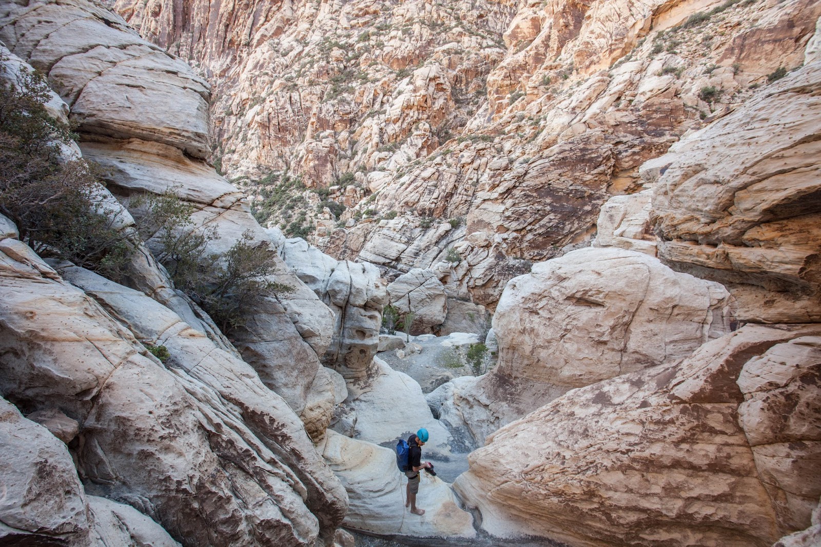 MUD SPRING CANYON, NEVADA ADAM HAYDOCK