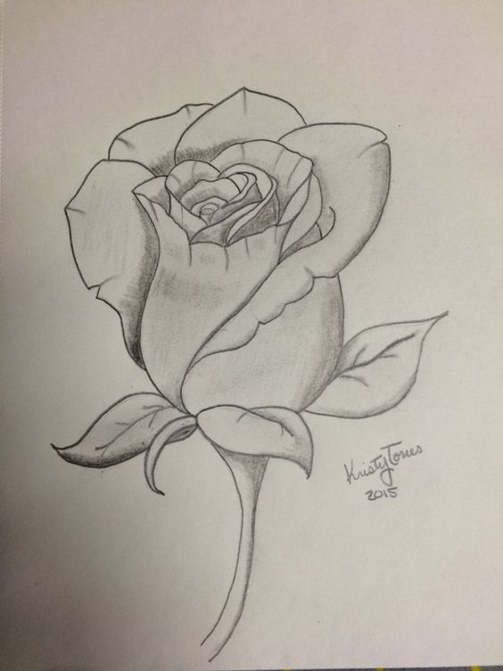  Distintas ideas de Rosas para dibujar
