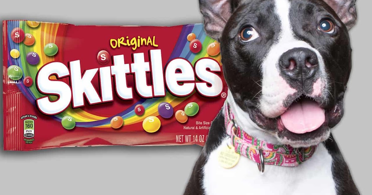 are skittles bad for my dog