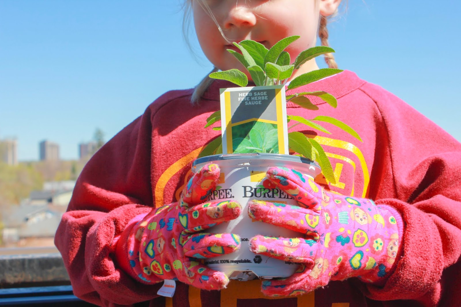 Urban Gardening - Creating a Condo Container Herb & Vegetable Garden
