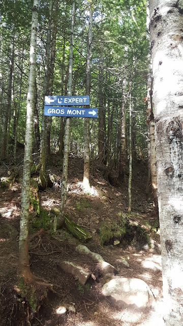 Sentier vers le mont des Morios