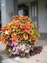 Mom will love an outdoor patio planter!