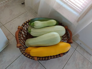 Garden harvest